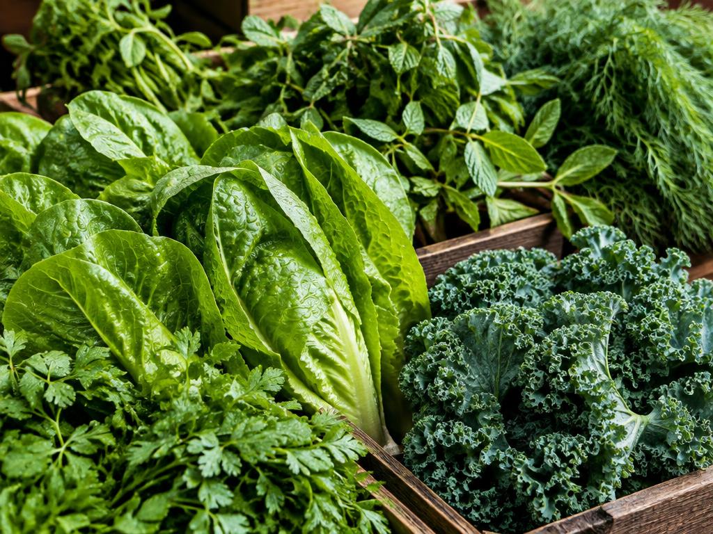 Cos lettuce, kale and fresh herbs in crates